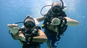 Exploring Underwater Wonders: A Guide to Diving in Phuket